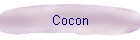 Cocon